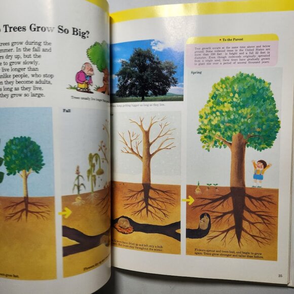 Flowers & Trees Child's First Library of Learning Hardcover Book Science Stem Ho - Picture 11 of 16
